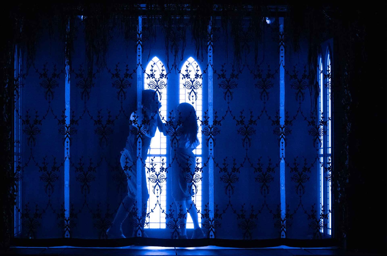 A dark image with the shadow of two people facing each other behind a lace curtain.