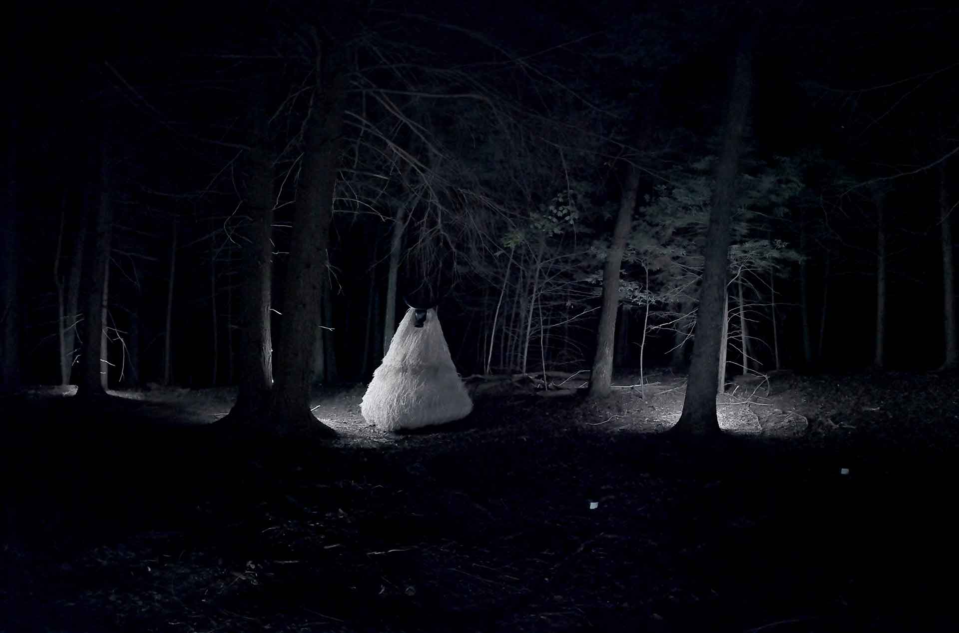 Image from Guardian of the Night