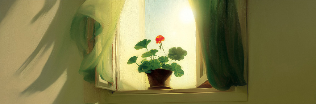 A single red flower blooms in a small pot on a windowsill, bathed in soft sunlight through an open window with flowing green curtains.