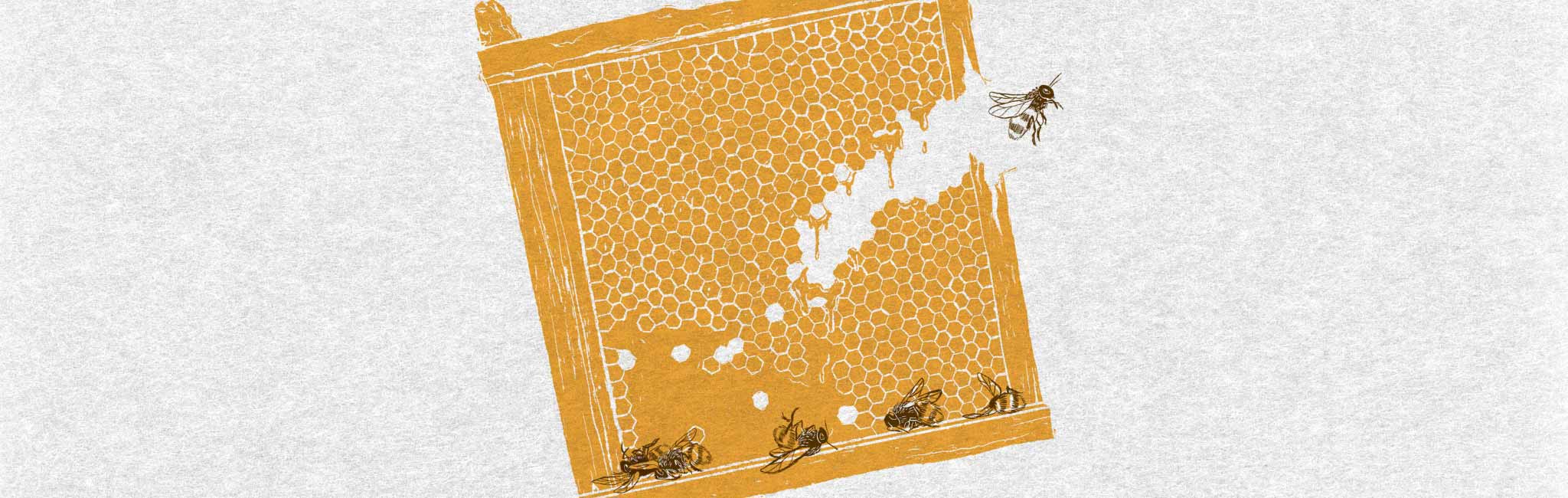 Golden honeycomb frame with bees flying around it.