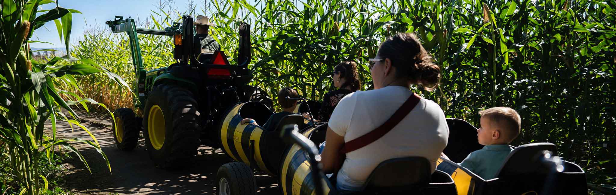 A tractor pulling barrels painted like bees with passengers.