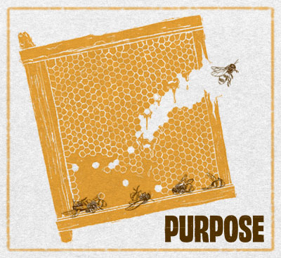 Golden honeycomb frame with bees flying around it beside the title “Purpose” on a textured light background.