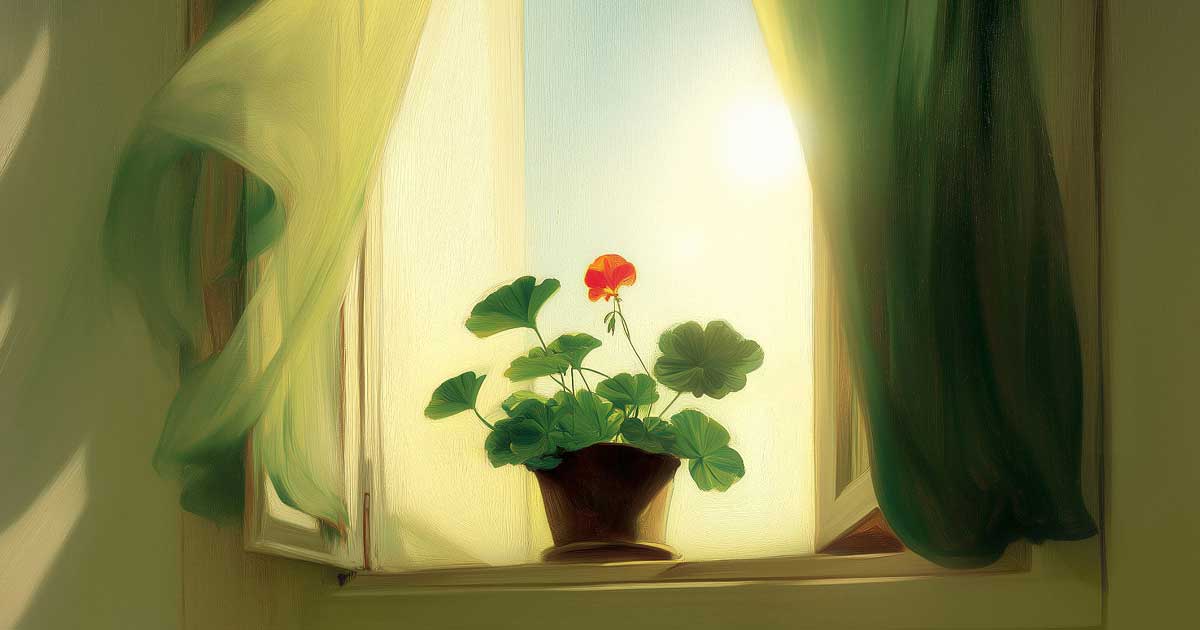 A single red flower blooms in a small pot on a windowsill, bathed in soft sunlight through an open window with flowing green curtains.