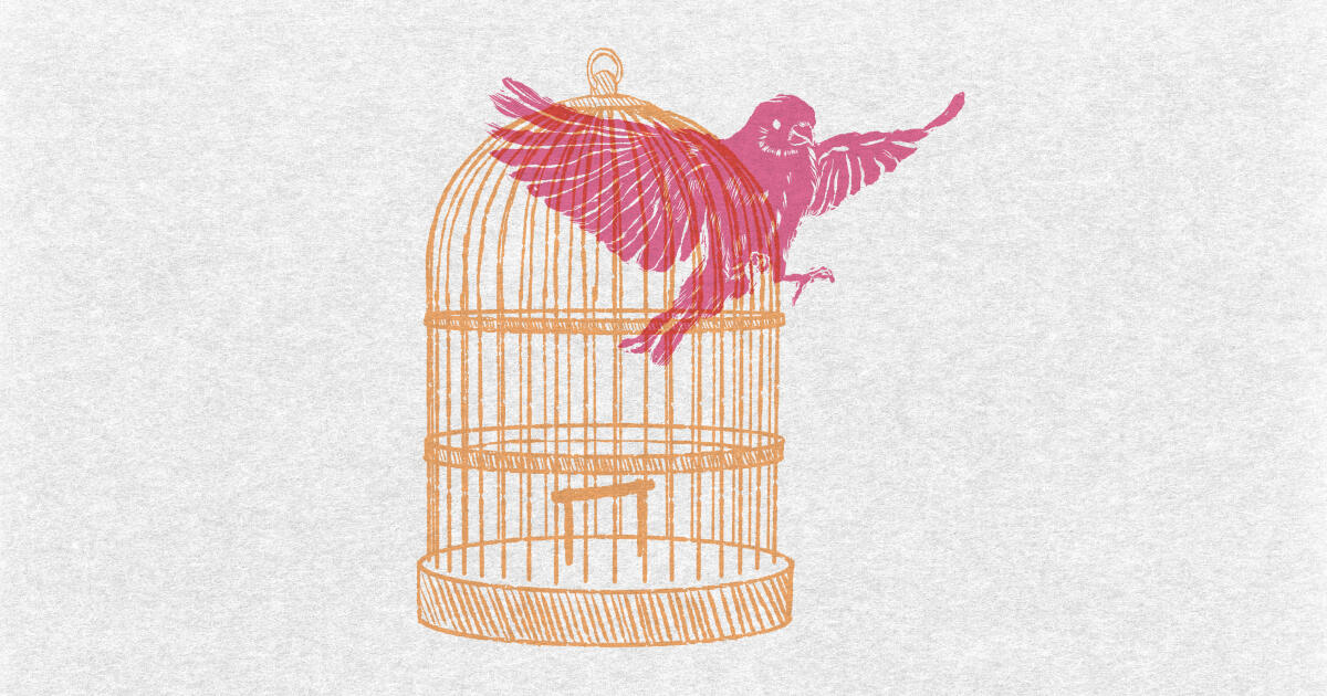 Pink bird flying out of a golden birdcage.